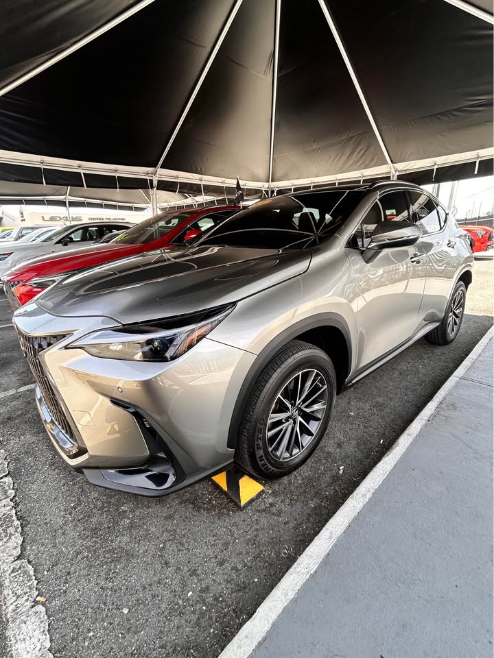 Lexus NX 250 Premium 2024